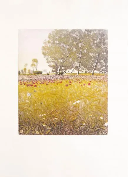 zambrelli-incisioni-100x70-summertime-a