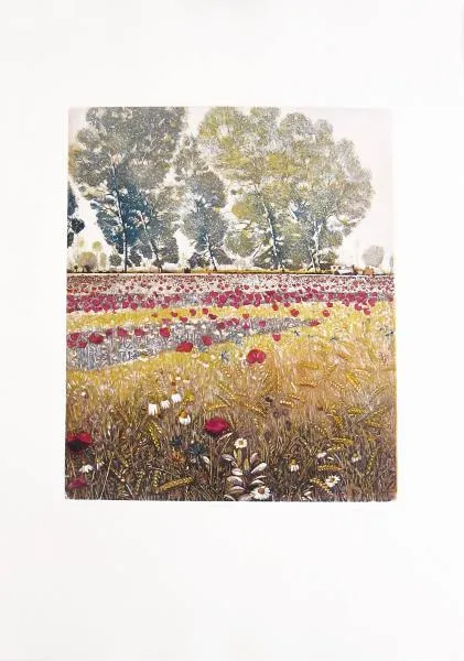zambrelli-incisioni-100x70-summertine-b