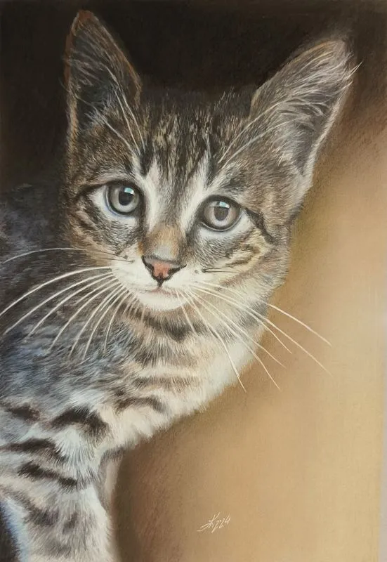 karpenko_50x34_gatto