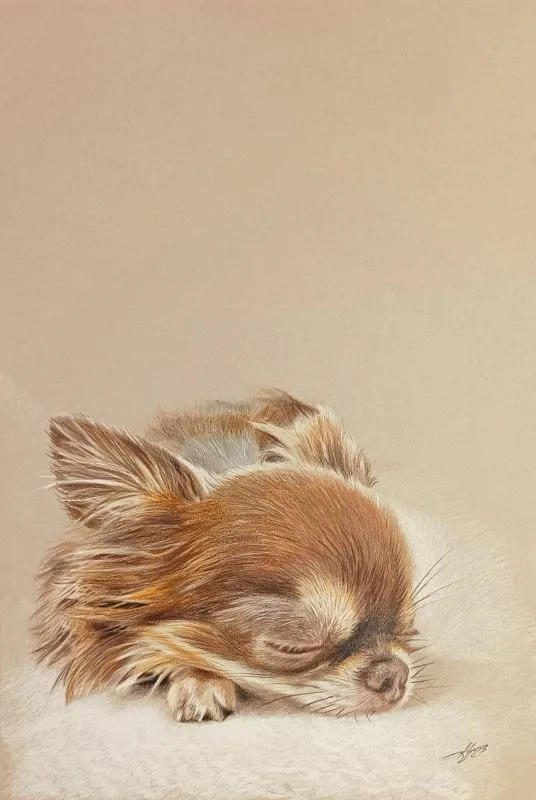 arte-figurativa_cane_karpenko