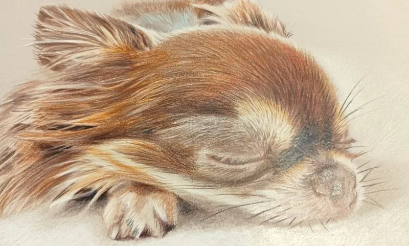 arte-figurativa_karpenko_cane