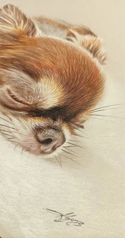 arte-figurativa_karpenko_cane