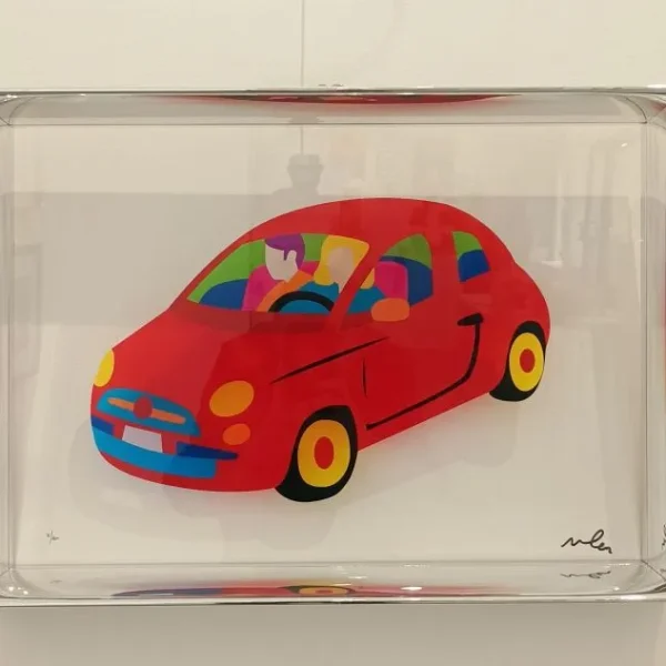 plexiglass-lodola-50x35-car