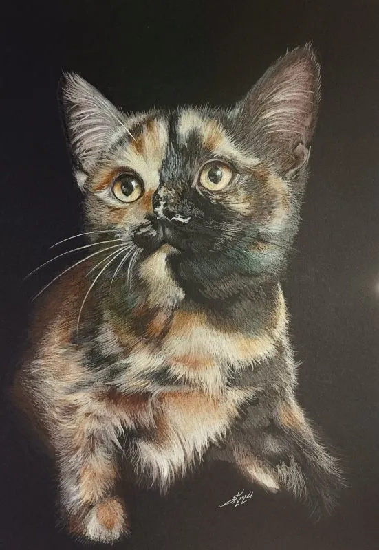 opere-uniche-karpenko-50x35-biscotto-gatto